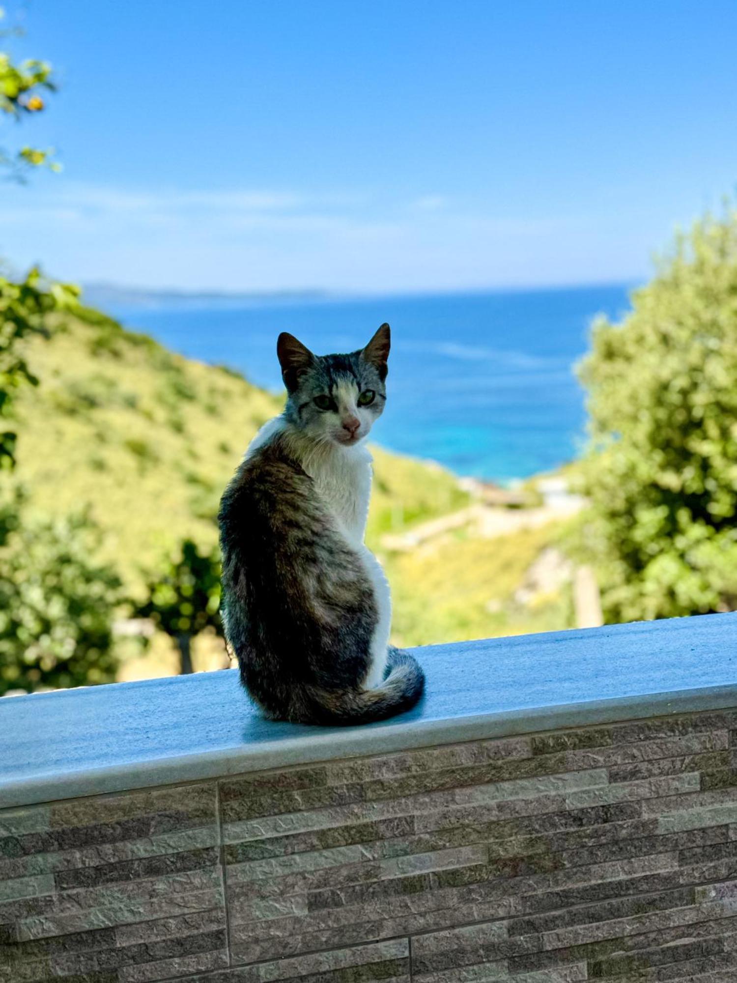 Vila Paza Sarandë Exterior foto