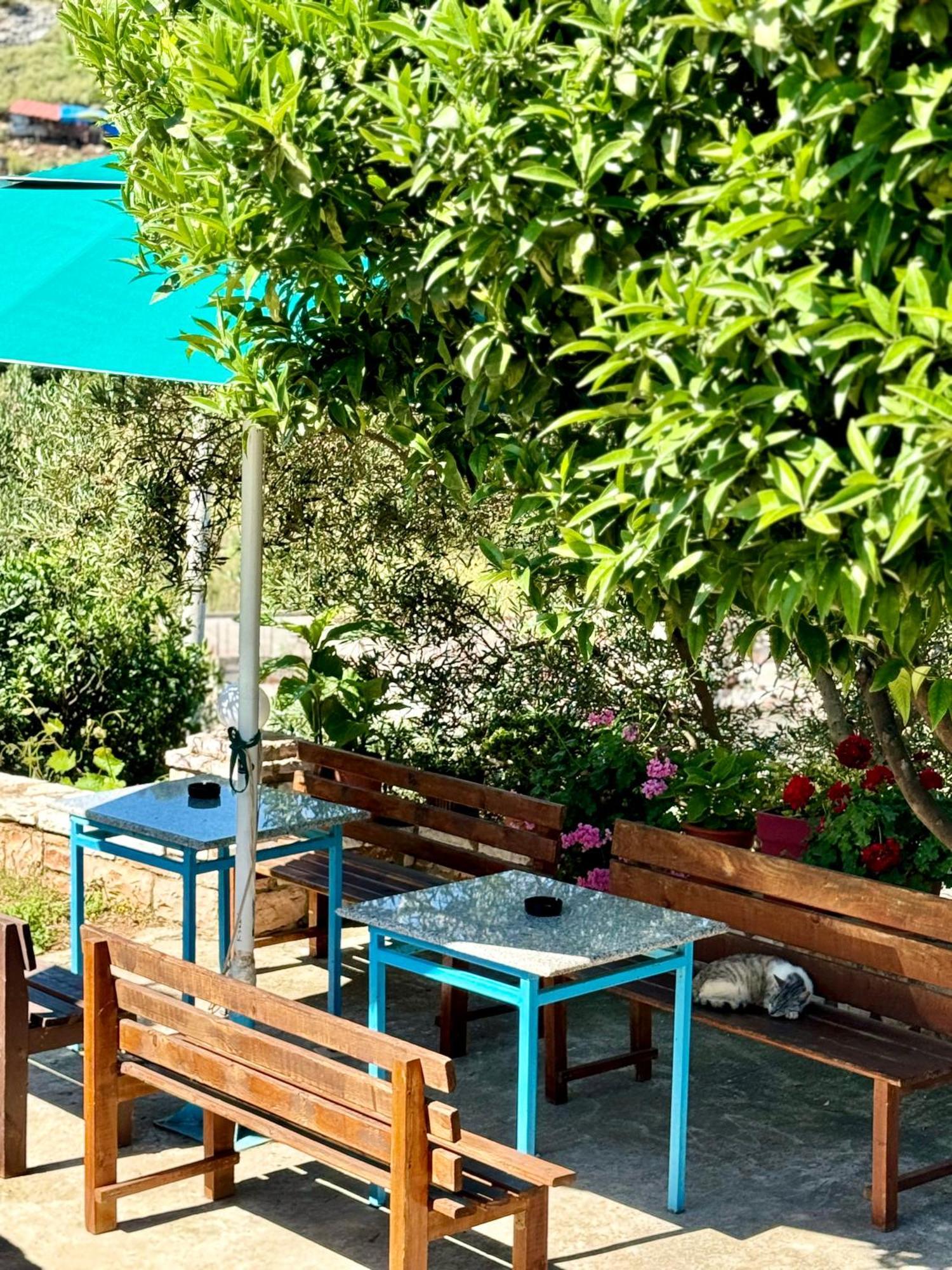 Vila Paza Sarandë Exterior foto